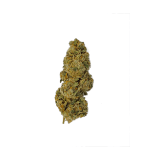 Vanilla Ice by Western Cannabis