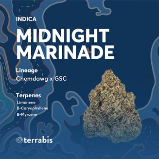 Midnight Marinade by Terrabis