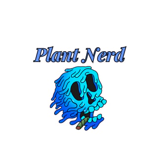 Maple Nectar by Plant Nerd