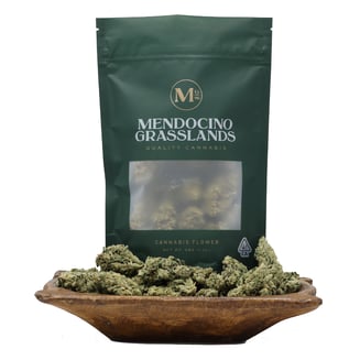 Mendocino Grasslands — Governmint Oasis