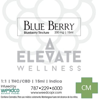 1:1 Elevate Blueberry [15ml] (200mg) by OMG! - PR