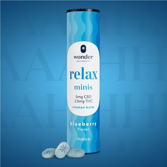 *Wonder Relax Minis 2:1 (Blueberry) [40pk] (200mg CBD/100mg THC) Illinois by * Wonder Wellness Co.™