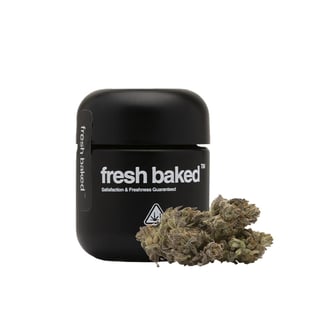 Apple Fritter by Fresh Baked