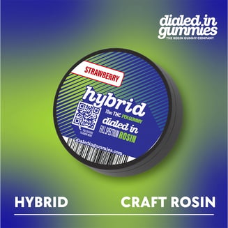 Strawberry - Hybrid [10pk] (100mg) by Dialed In Gummies