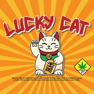 Y Life by Lucky Cat