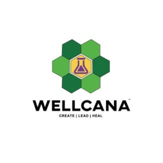 Watermelon (20mg) by Wellcana