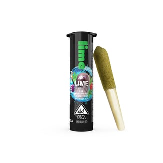 Lime — Purple Zaza