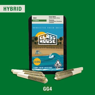 Glass House Farms — Gg4
