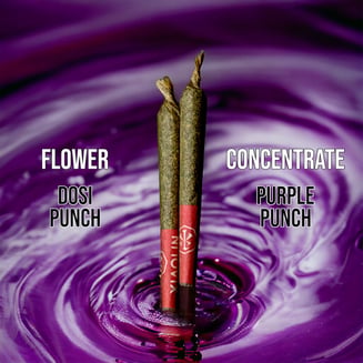 Dosi Punch // Purple Punch [0.5g each] by Made in Xiaolin