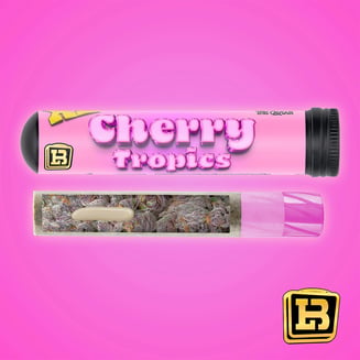 Cherryzona x Purple Banana [2.5g] by Lunchbox