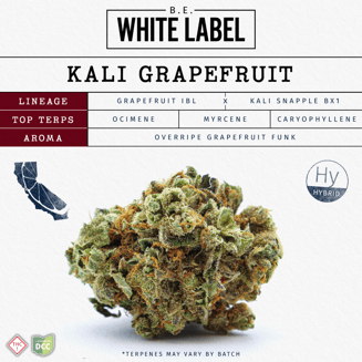 Kali Grapefruit [2.83g] by Butterfly Effect