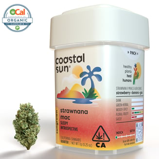 Coastal Sun — Strawnana MAC
