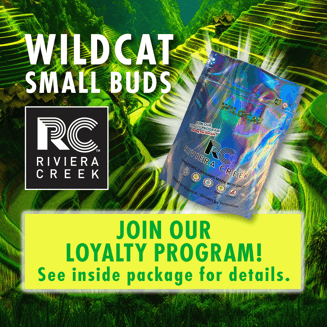 Wildcat Small Buds by Riviera Creek