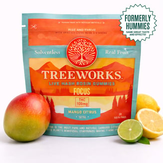 Focus | Live Hash Rosin Gummies - Sativa (100mg) *Formerly Hummies by Treeworks