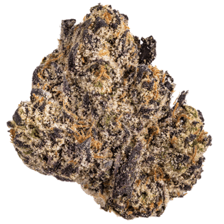 Za-Toshi by West Coast Cure