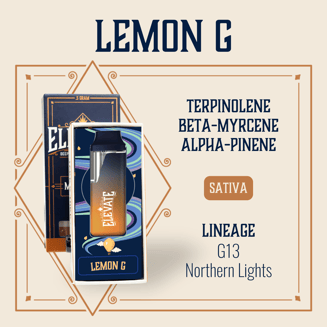 1:1 Lemon G [500mg] by Elevate