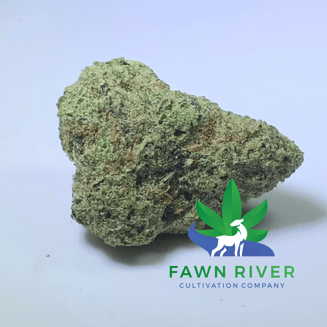 10K Jack by Fawn River