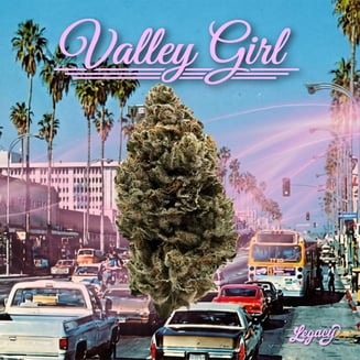 Legacy — Valley Girl
