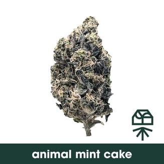 Animal Mint Cake by Grassroots