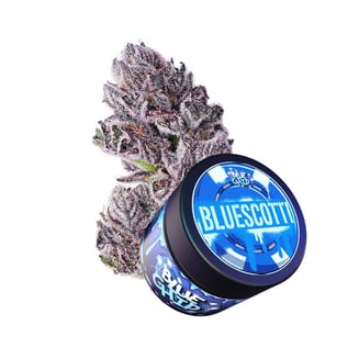 Blue Chip — Bluescotti