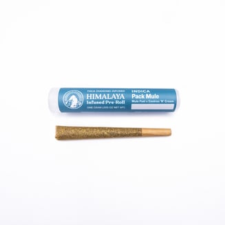 Himalaya: Pack Mule [1g]