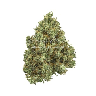 Lilac Diesel by Grow West
