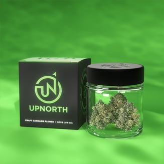 UpNorth Humboldt: Purple Zaza
