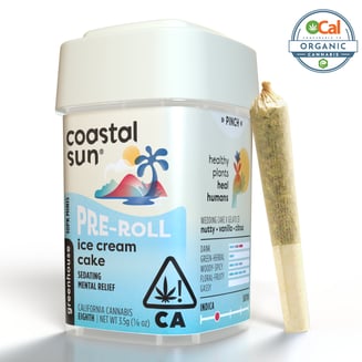 Coastal Sun — Ice Cream Cake