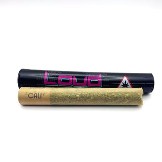 Yellow Tail [1g] by Loud