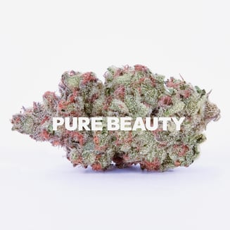 Pure Beauty: Canal St Runtz