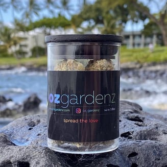 Black Ice by Oz Gardenz
