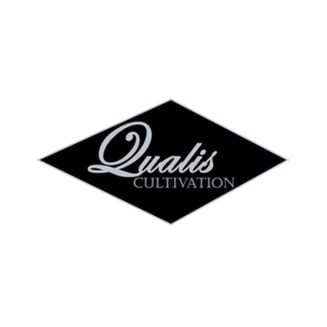 95 Runtz by Qualis