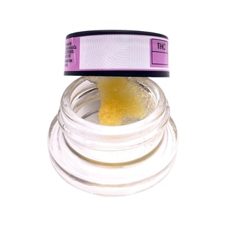 Sunshine Oil: Snow Dog