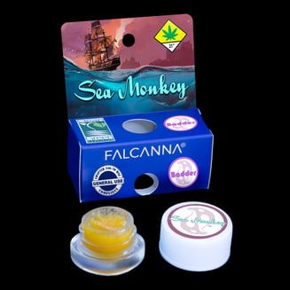 Sea Monkey Cold Cured Badder by Falcanna