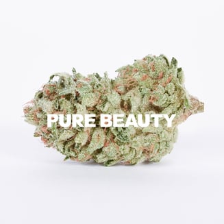 Pure Beauty: Strawberries & Durban