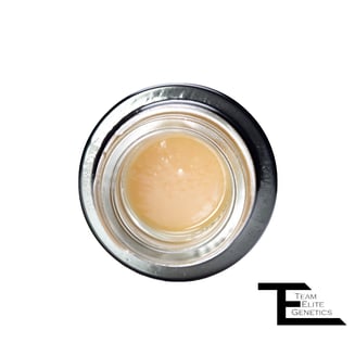 Team Elite Genetics: Bottle Caps