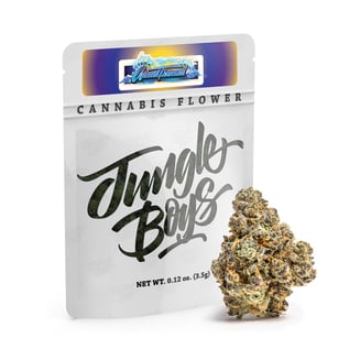 Animal Tsunami by Jungle Boys