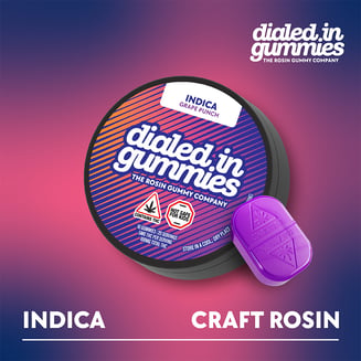 100mg - Grape Punch - Rosin Gummies (20pk) by Dialed In Gummies