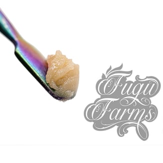 Apple Fritter by Fugu Farms
