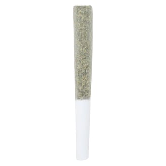 AAA+ [.5g] by Crooked Dory