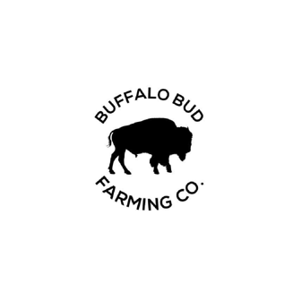 Apple Fritter [1000mg] by Buffalo Bud Farming Co.