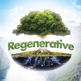 Apple Fritter by Regenerative