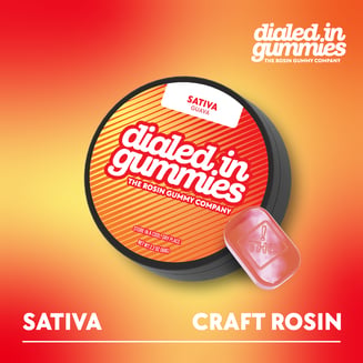 100mg - Guava - Rosin Gummies (10pk) by Dialed In Gummies