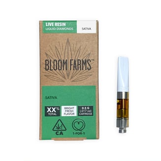 Key Lime Pie by Bloom Farms