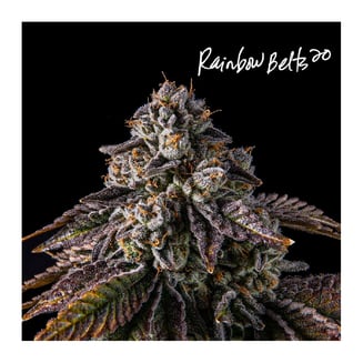 #6 by Charly's Cannabis