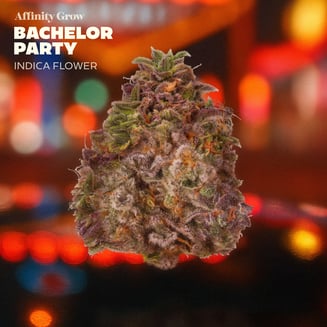 Bachelor Party Flower T26.60% H 00657 by Affinity Grow