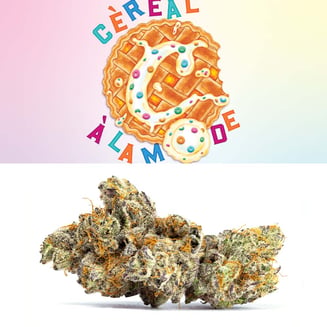 Cereal A La Mode by Cookies