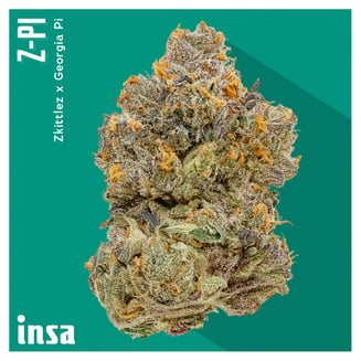 Z Pi by Insa