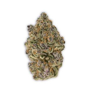 KDOG Fruit (Small Bud) by Vireo