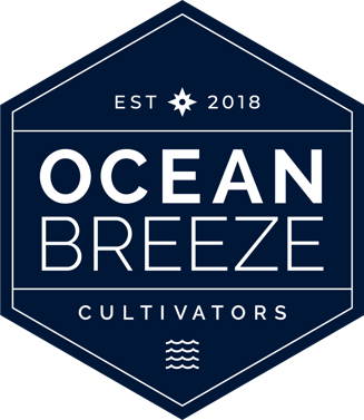 Dark Chocolate Peanut Butter Cups (100mg) by Ocean Breeze